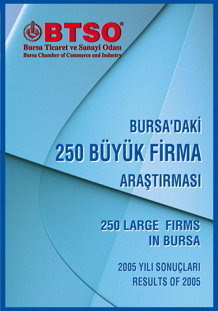 2005 Yılı İlk 250 Büyük Firma Araştırması